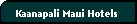 Kaanapali Maui Hotels